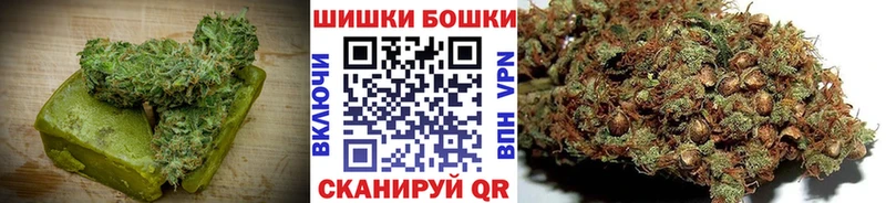 где можно купить наркотик  Заводоуковск  Cannafood конопля 