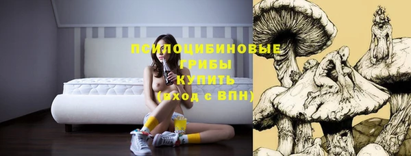 прущий лед Ельня