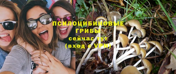 метадон Заволжье