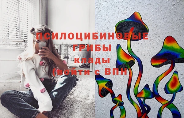 spice Заводоуковск