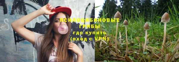 spice Заводоуковск